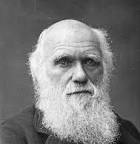 Bild von Charles Darwin